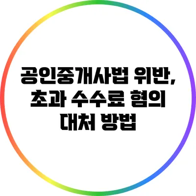 공인중개사법 위반, 초과 수수료 혐의 대처 방법