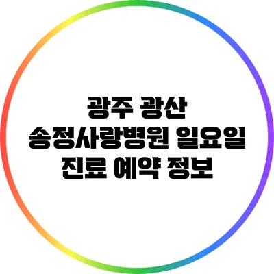 광주 광산 송정사랑병원: 일요일 진료 예약 정보