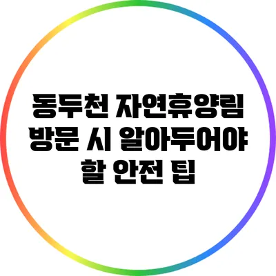 동두천 자연휴양림 방문 시 알아두어야 할 안전 팁