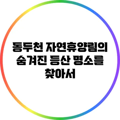 동두천 자연휴양림의 숨겨진 등산 명소를 찾아서