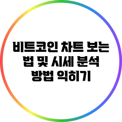 비트코인 차트 보는 법 및 시세 분석 방법 익히기