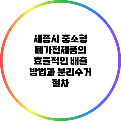 세종시 중소형 폐가전제품의 효율적인 배출 방법과 분리수거 절차