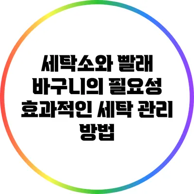 세탁소와 빨래 바구니의 필요성: 효과적인 세탁 관리 방법