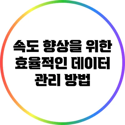 속도 향상을 위한 효율적인 데이터 관리 방법