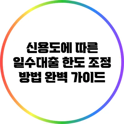 신용도에 따른 일수대출 한도 조정 방법: 완벽 가이드