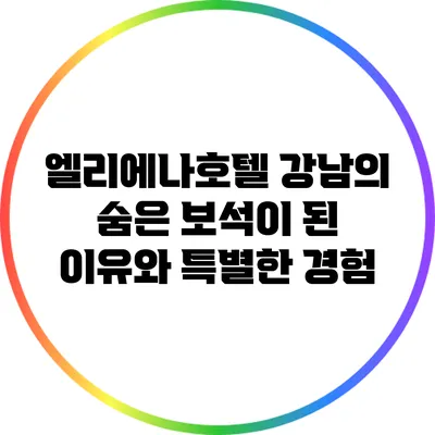엘리에나호텔: 강남의 숨은 보석이 된 이유와 특별한 경험