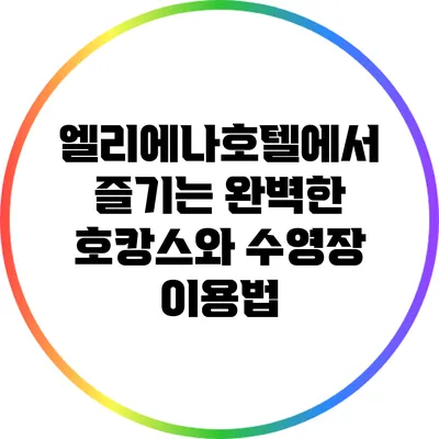엘리에나호텔에서 즐기는 완벽한 호캉스와 수영장 이용법