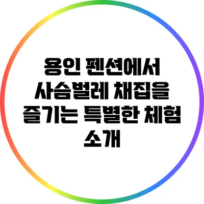 용인 펜션에서 사슴벌레 채집을 즐기는 특별한 체험 소개