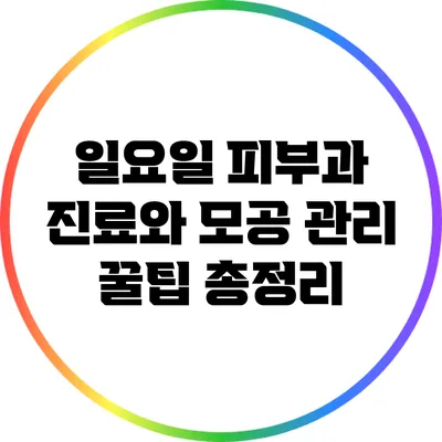 일요일 피부과 진료와 모공 관리 꿀팁 총정리