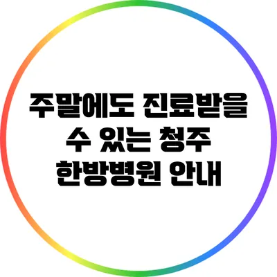 주말에도 진료받을 수 있는 청주 한방병원 안내