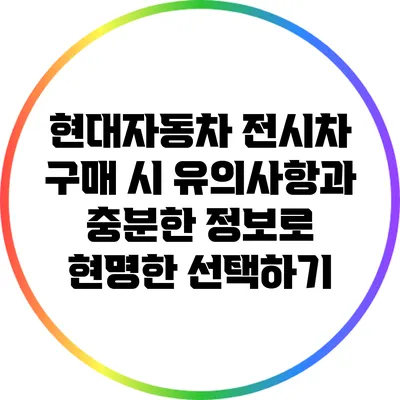 현대자동차 전시차 구매 시 유의사항과 충분한 정보로 현명한 선택하기