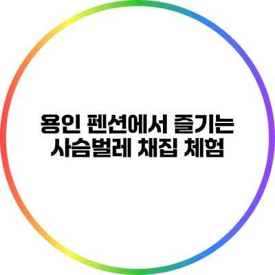 용인 펜션에서 즐기는 사슴벌레 채집 체험