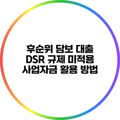 후순위 담보 대출 DSR 규제 미적용 사업자금 활용 방법