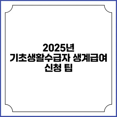 2025년 기초생활수급자 생계급여 신청 팁