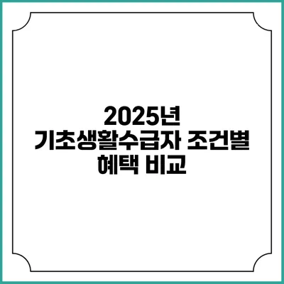 2025년 기초생활수급자 조건별 혜택 비교