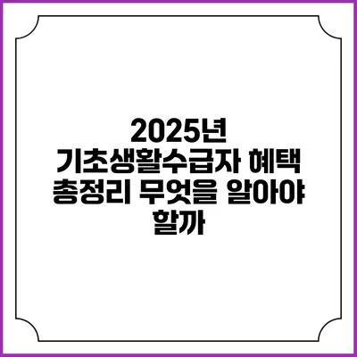 2025년 기초생활수급자 혜택 총정리 무엇을 알아야 할까?