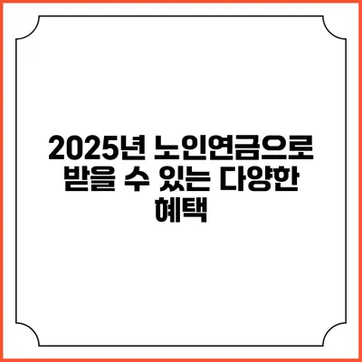 2025년 노인연금으로 받을 수 있는 다양한 혜택