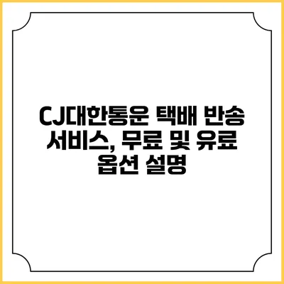 CJ대한통운 택배 반송 서비스, 무료 및 유료 옵션 설명