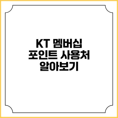KT 멤버십 포인트 사용처 알아보기