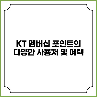 KT 멤버십 포인트의 다양한 사용처 및 혜택