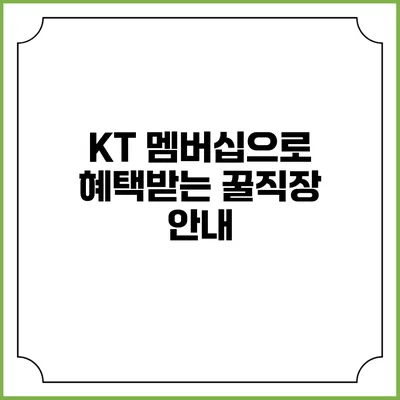 KT 멤버십으로 혜택받는 꿀직장 안내