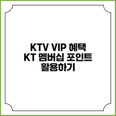 KTV VIP 혜택 KT 멤버십 포인트 활용하기