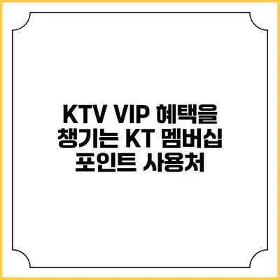 KTV VIP 혜택을 챙기는 KT 멤버십 포인트 사용처