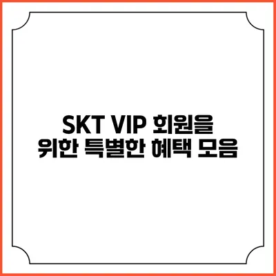 SKT VIP 회원을 위한 특별한 혜택 모음