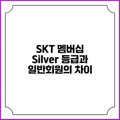 SKT 멤버십 Silver 등급과 일반회원의 차이