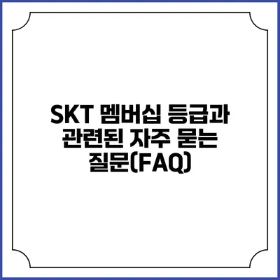 SKT 멤버십 등급과 관련된 자주 묻는 질문(FAQ)
