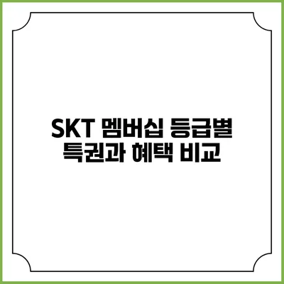 SKT 멤버십 등급별 특권과 혜택 비교