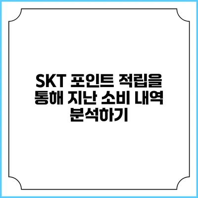 SKT 포인트 적립을 통해 지난 소비 내역 분석하기
