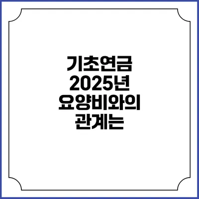 기초연금 2025년 요양비와의 관계는?