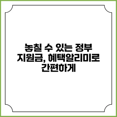 놓칠 수 있는 정부 지원금, 혜택알리미로 간편하게