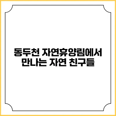 동두천 자연휴양림에서 만나는 자연 친구들