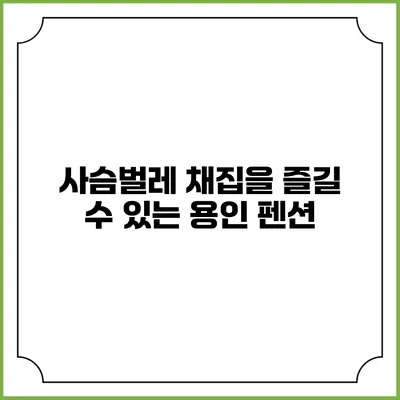 사슴벌레 채집을 즐길 수 있는 용인 펜션