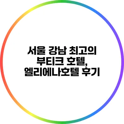 서울 강남 최고의 부티크 호텔, 엘리에나호텔 후기