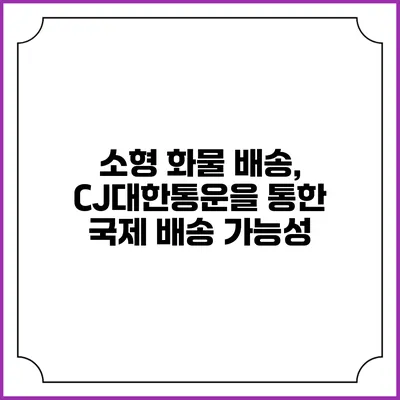 소형 화물 배송, CJ대한통운을 통한 국제 배송 가능성