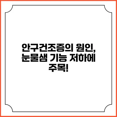 안구건조증의 원인, 눈물샘 기능 저하에 주목!