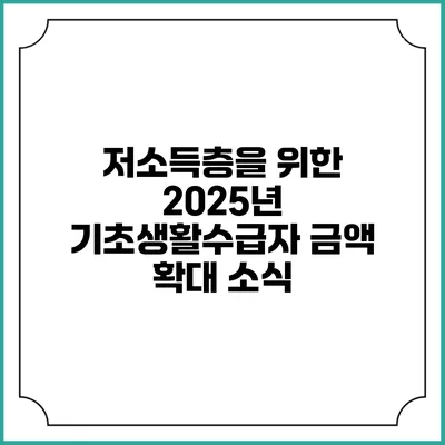 저소득층을 위한 2025년 기초생활수급자 금액 확대 소식