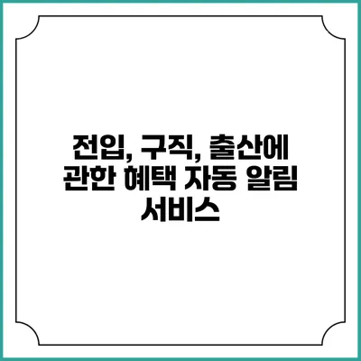 전입, 구직, 출산에 관한 혜택 자동 알림 서비스