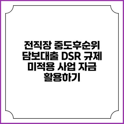전직장 중도후순위 담보대출 DSR 규제 미적용 사업 자금 활용하기