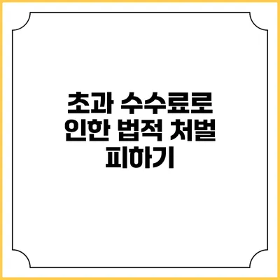초과 수수료로 인한 법적 처벌 피하기