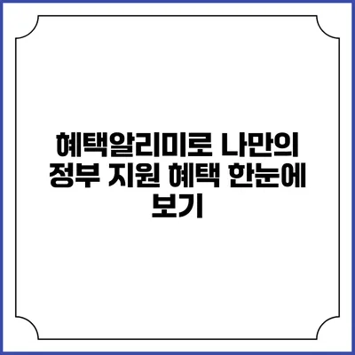혜택알리미로 나만의 정부 지원 혜택 한눈에 보기