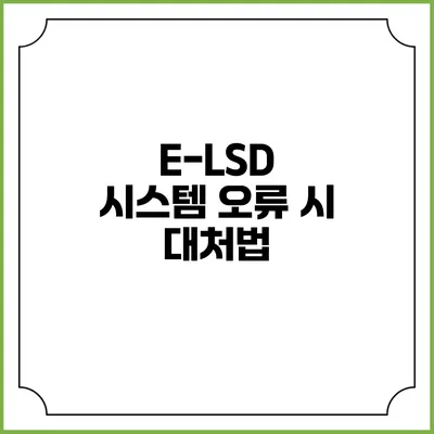 E-LSD 시스템 오류 시 대처법