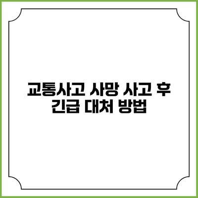 교통사고 사망 사고 후 긴급 대처 방법