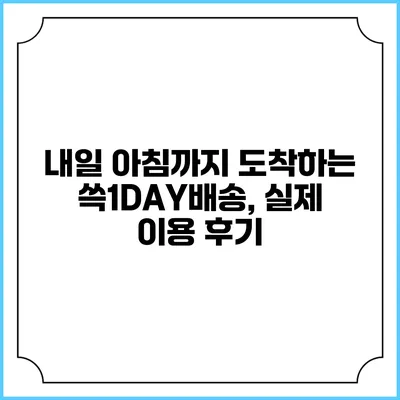 내일 아침까지 도착하는 쓱1DAY배송, 실제 이용 후기