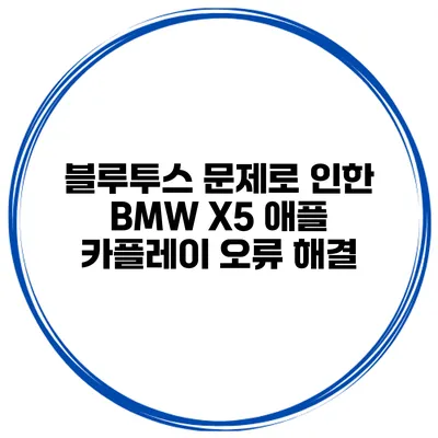 블루투스 문제로 인한 BMW X5 애플 카플레이 오류 해결