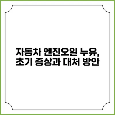 자동차 엔진오일 누유, 초기 증상과 대처 방안