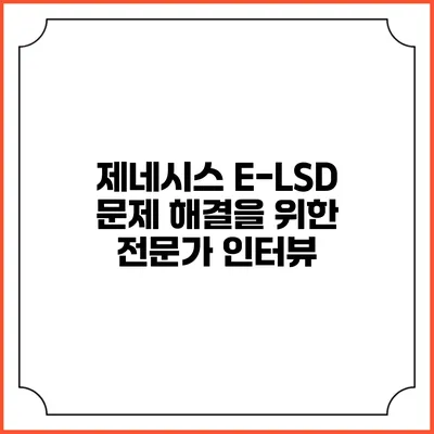제네시스 E-LSD 문제 해결을 위한 전문가 인터뷰